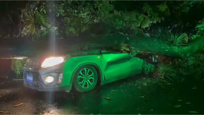 WhatsApp Image 2025-06-09 at 7.09.00 AM