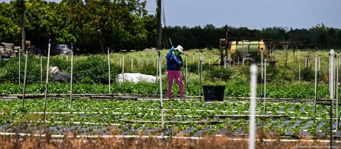 WhatsApp Image 2025-06-17 at 7.44.15 AM (3)