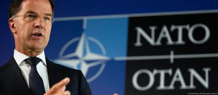 WhatsApp Image 2025-06-23 at 8.12.44 AM (8)