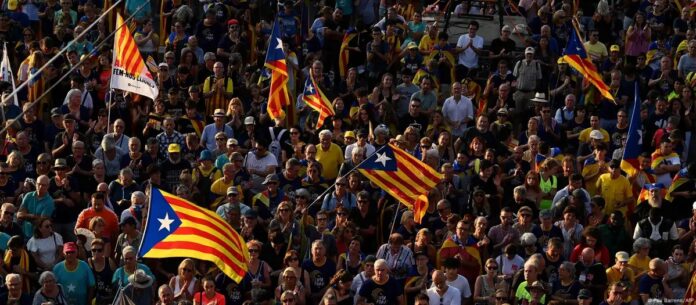 WhatsApp Image 2025-06-26 at 8.06.17 AM (4)