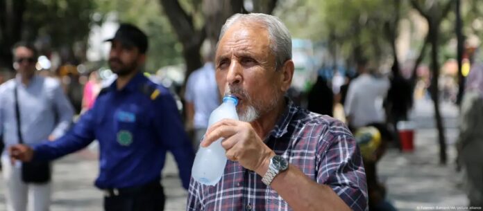 WhatsApp Image 2025-07-10 at 7.50.54 AM (4)