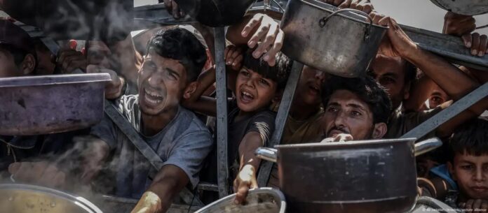 WhatsApp Image 2025-07-23 at 2.54.05 PM (4)