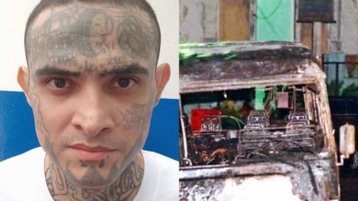 WhatsApp Image 2025-07-30 at 8.28.50 AM