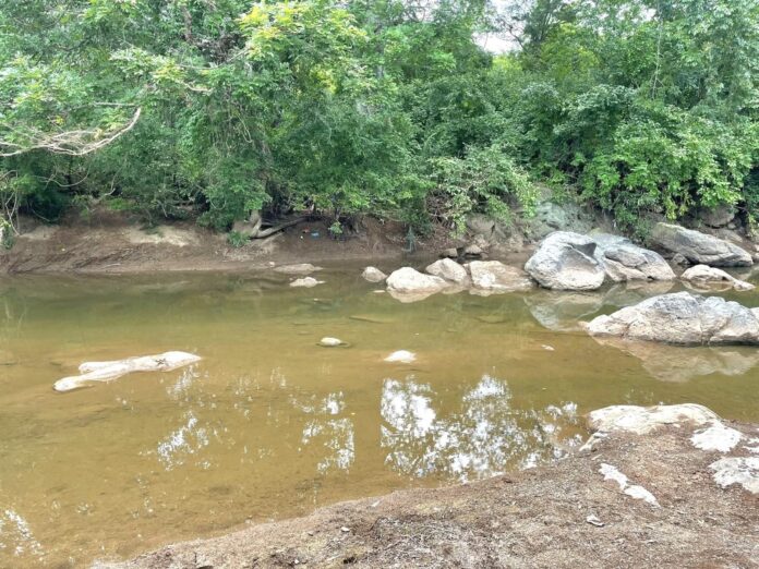 WhatsApp Image 2025-08-04 at 3.43.07 PM