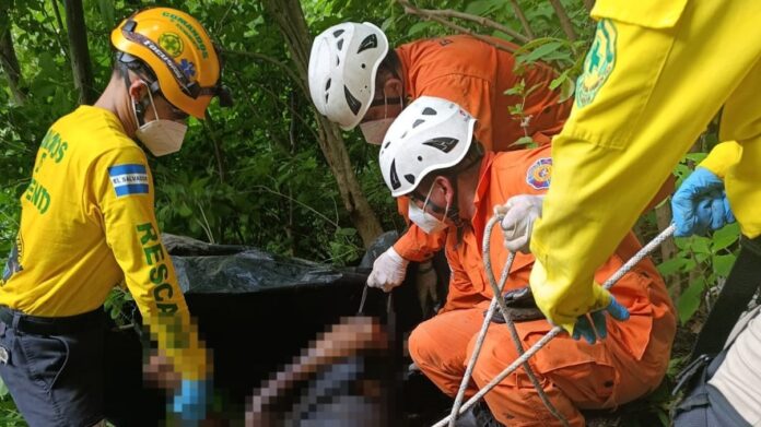 WhatsApp Image 2025-08-11 at 6.55.49 AM