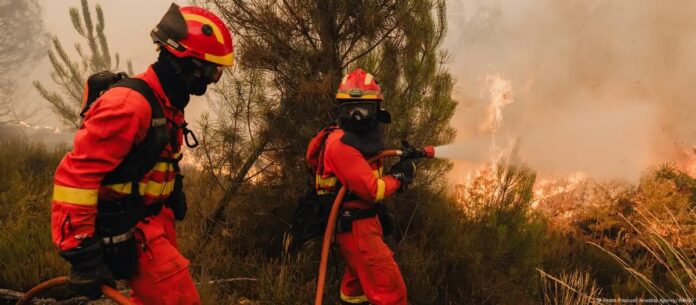 WhatsApp Image 2025-08-18 at 1.48.27 PM (1)