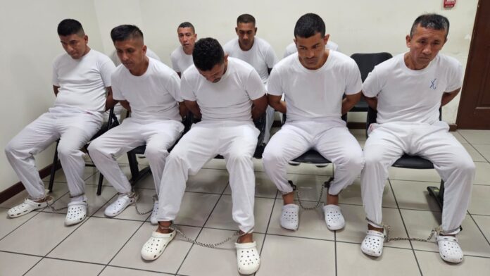 WhatsApp Image 2025-08-19 at 11.48.22 AM