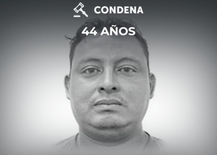 Foto: Cortesía. Foto: Cortesía.