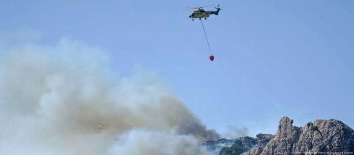 Incendios forestales en Cádiz. Imagen de referencia. Foto: Cortesía.