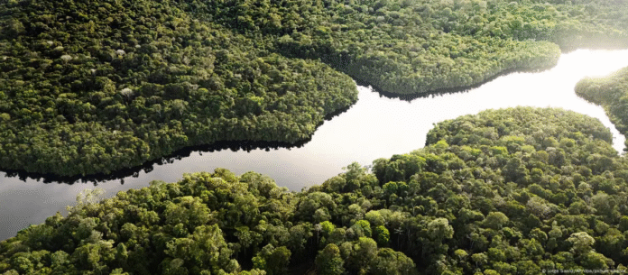 La belleza y los recursos naturales de la selva amazónica, con su importancia para el medioambiente, están gravemente amenazados. Imagen de referencia. Foto: Cortesía.