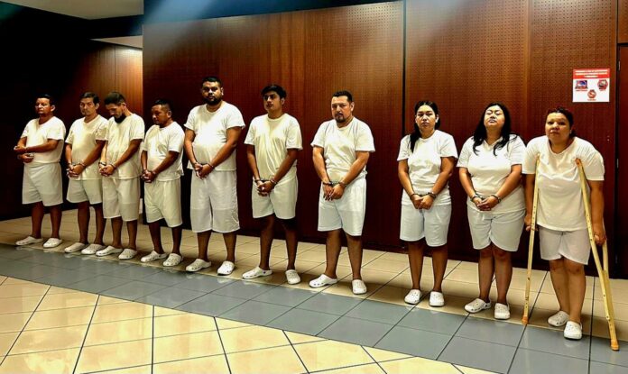 img-20250814-wa03158040900294292595082