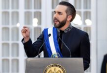 Bukele propone Ley Quincena 25: Ingreso adicional del 50 % del salario en enero para trabajadores con salarios de hasta $1,500