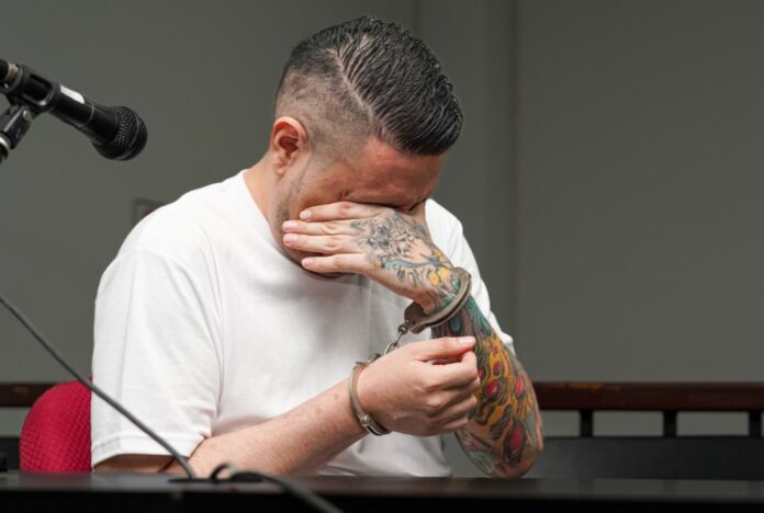 Foto: Cortesía. Foto: Cortesía.