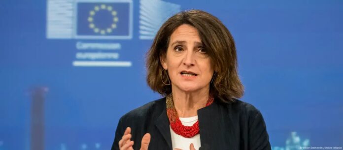 WhatsApp Image 2025-09-04 at 1.50.25 PM (1)