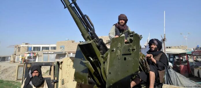 WhatsApp Image 2025-10-15 at 2.33.42 PM (1)