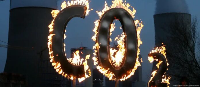 WhatsApp Image 2025-10-15 at 2.33.42 PM (6)