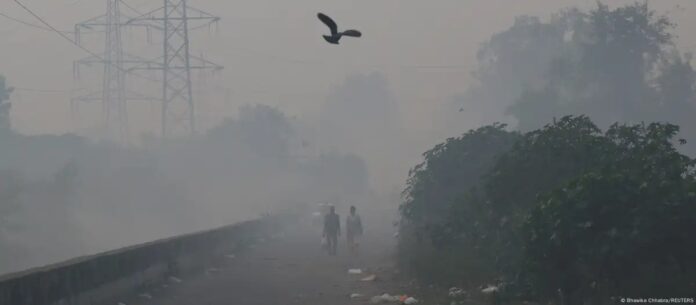 WhatsApp Image 2025-10-20 at 6.46.21 AM (2)