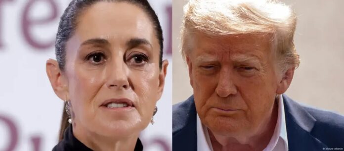 WhatsApp Image 2025-10-30 at 12.06.04 PM (1)