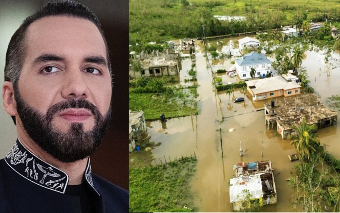 Foto: Cortesía. Foto: Cortesía.