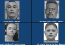 Condenas de hasta 397 años de cárcel para varios pandilleros del Barrio 18 Foto: Cortesía.