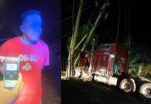 PNC captura a conductor panameño por manejar ebrio y chocar contra postes en carretera de Oro