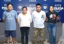 Detienen estructura que se apropiaba, con documentación falsa, de vehículos de alquiler Foto: Cortesía.