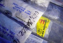 Destruyen más de 100 kilos de droga vinculada a 42 casos judicializados