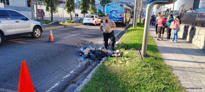 Foto: Cortesía. Foto: Cortesía.