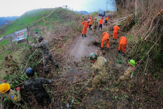 Foto: Cortesía. Foto: Cortesía.