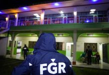 Detienen estructura de narcotráfico con alcance transnacional Foto: Cortesía.