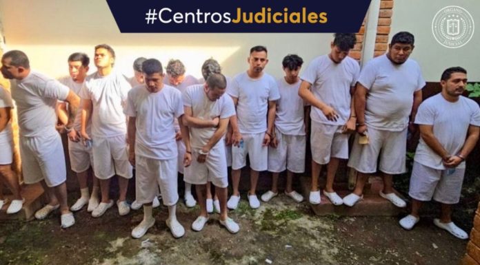 Foto: Cortesía. Foto: Cortesía.