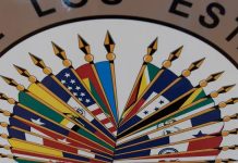 OEA expresa «preocupación» por elecciones de Honduras