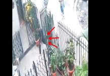 Captan sujeto hurtando en la Iglesia El Calvario Foto: Cortesía.