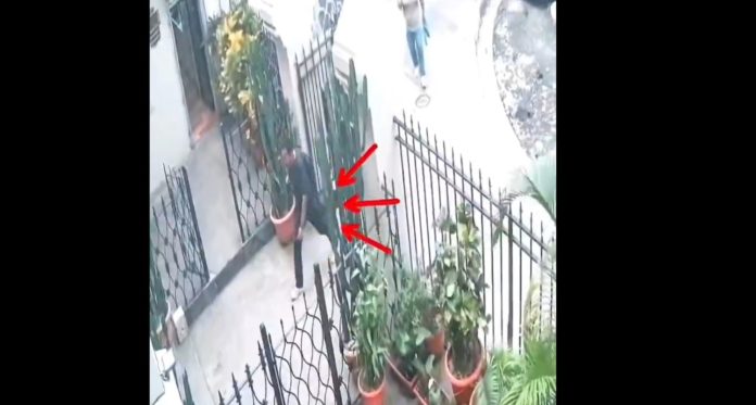 Foto: Cortesía. Foto: Cortesía.