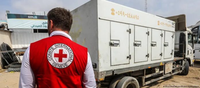 WhatsApp Image 2025-11-14 at 8.00.22 AM (2)