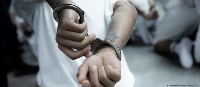 WhatsApp Image 2025-11-17 at 8.04.12 AM (9)