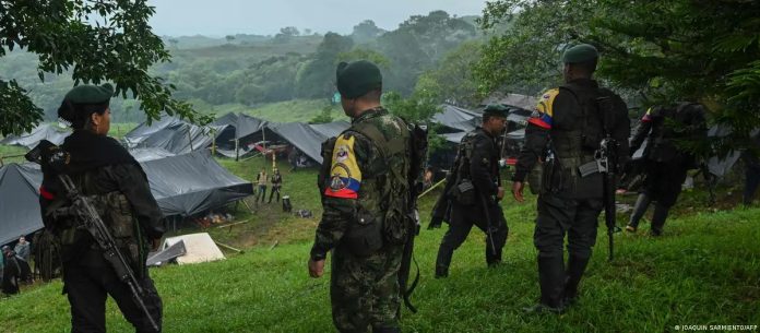 WhatsApp Image 2025-11-19 at 2.54.35 PM (9)