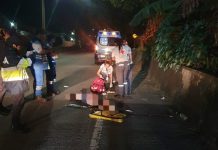 Peatón muere arrollado en la carretera Troncal del Norte