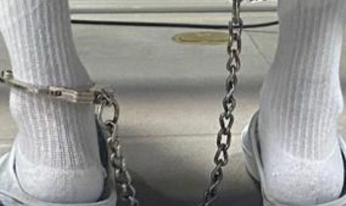 Foto: Cortesía. Foto: Cortesía.