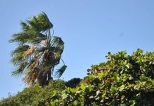 MARN pronostica vientos nortes desde la tarde de este jueves Foto: Cortesía.