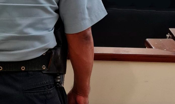 Foto: Cortesía. Foto: Cortesía.