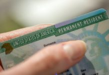 Estos son los requisitos, plazos y costos de renovar la Green Card en EEUU Foto: Cortesía.