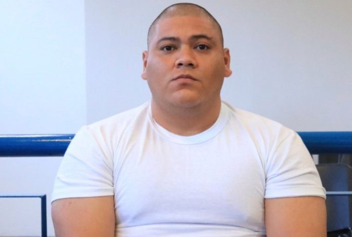 photo_4929642142867589922_x