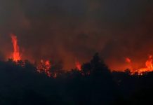 Siete provincias de Argentina en alerta por incendios