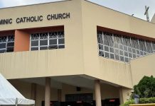 Trump: EE.UU. lanzó «poderosos ataques» contra EI en Nigeria