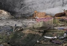 Siria: al menos ocho muertos tras explosión en una mezquita