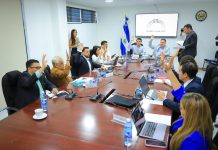 Diputados aprueban presupuesto del sufragio en el exterior 2027: ¿Qué incluye la asignación de $46.7 millones?