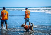 Más de 100 mil elementos participarán en el Plan de Navidad y Fin de Año