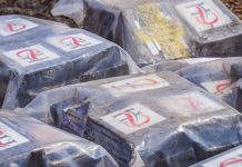 Autoridades destruyen 150 kilos de cocaína incautada a dos extranjeros detenidos en noviembre