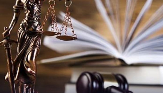 Foto: Cortesía. Foto: Cortesía.